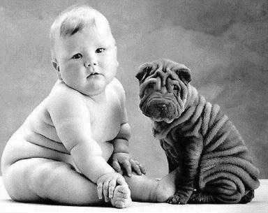 baby and dog alike